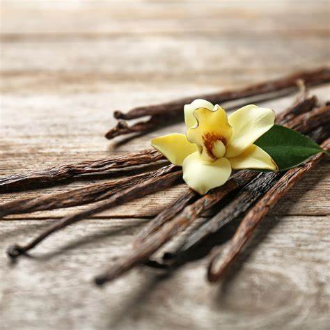 Vanilla & Citronella