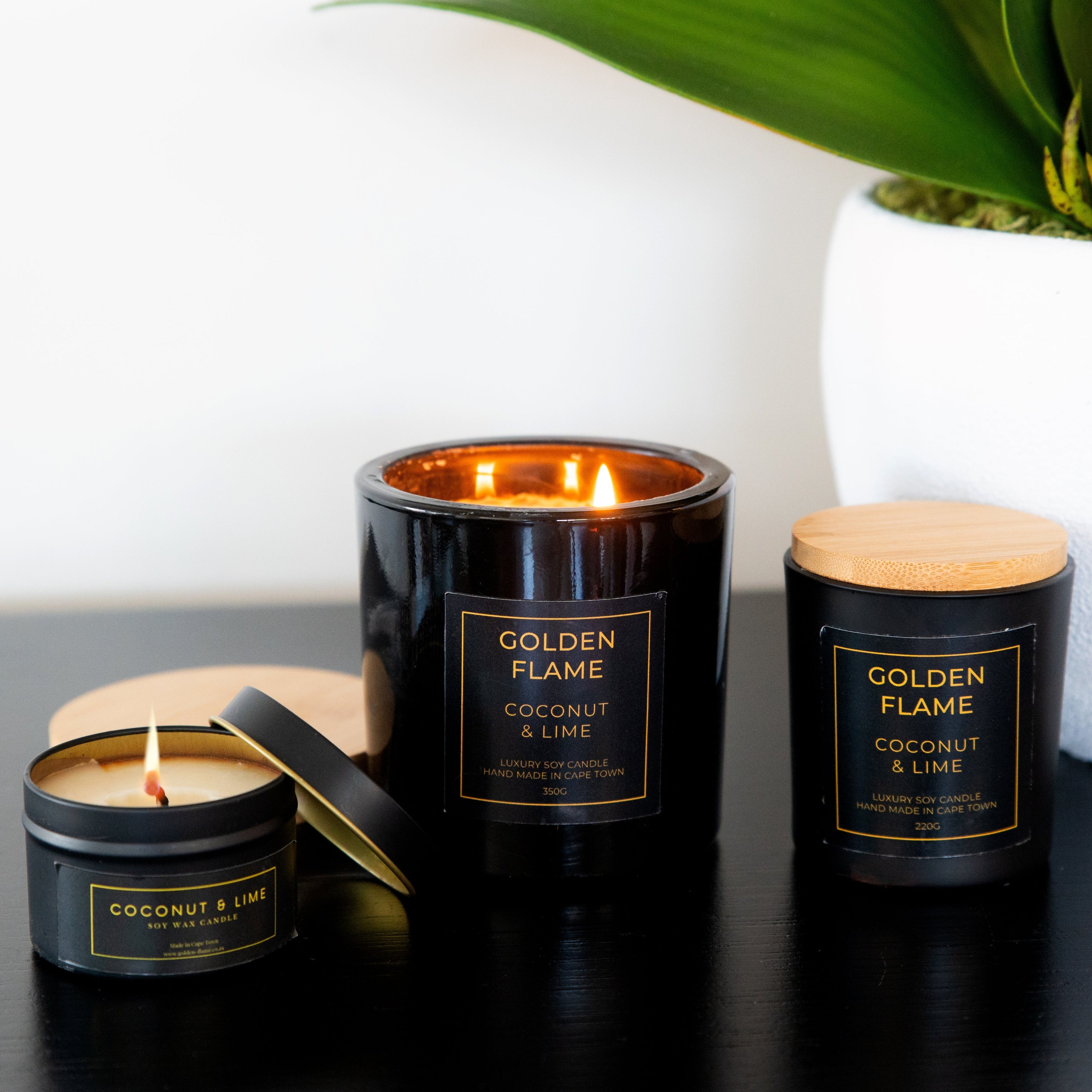 Coconut & Lime Bundle Golden Flame